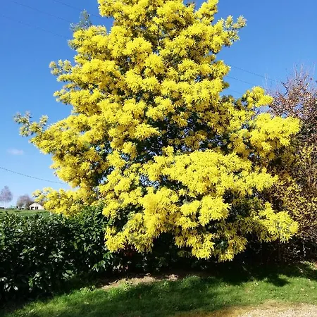 La Haye Georget 4* Feneu