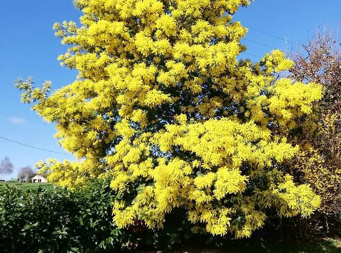 La Haye Georget 4* Feneu